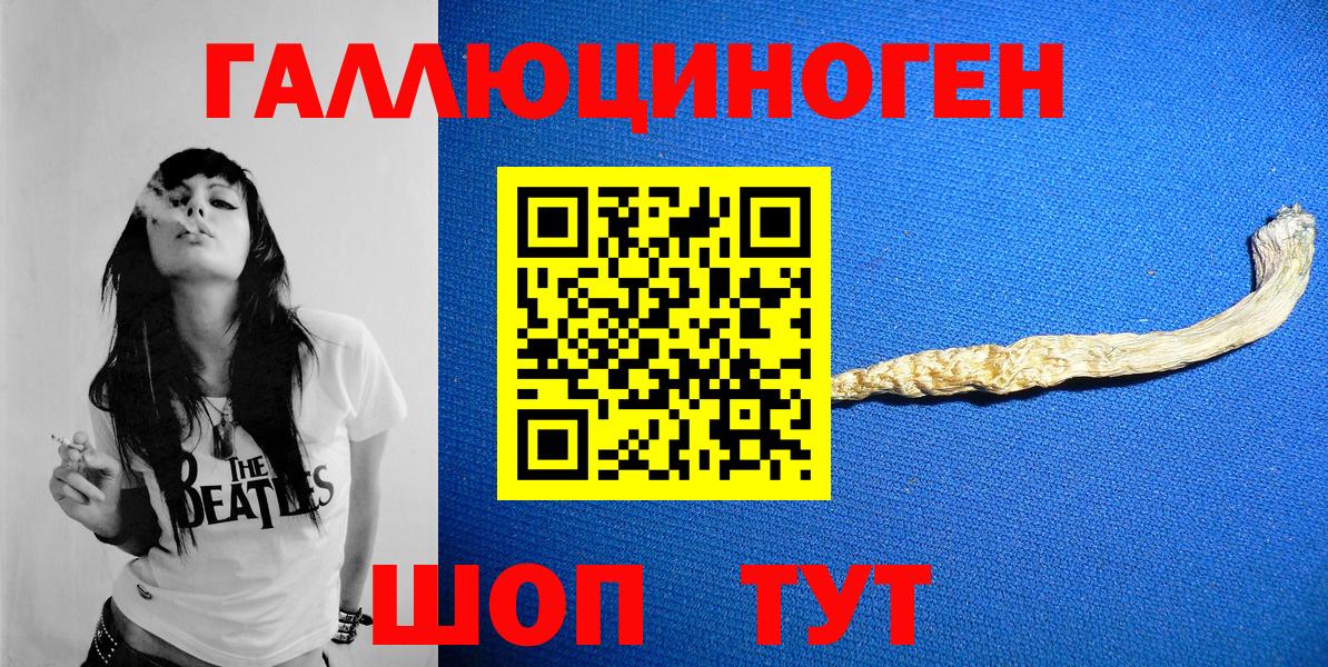 Сочи  Галлюциногенные грибы Psilocybine cubensis  Вход с VPN 